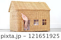 A little girl waves from a generic wicker doll house. Real estate related shot 121651925