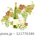 On the table lies a watercolor branch with white grapes, and next to it a glass of white wine and a bottle of green glass. Illustration of green berries. Clipart for tasting, menu, wine list. 121776380