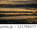 Scenic panoramic view of forested fields during autumn season 121786077