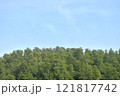 landscape of Tung Prong Thong golden mangrove field in sunny day travel location on Thailand 121817742