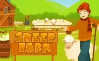 Sheep Farm