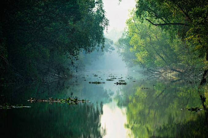 Sundarbans