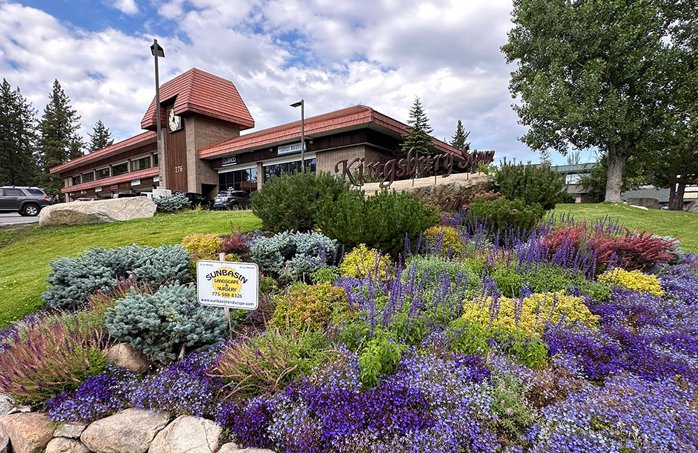 Tahoe Club 100 Gym by Eufay Wood