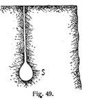 Fig. 49.