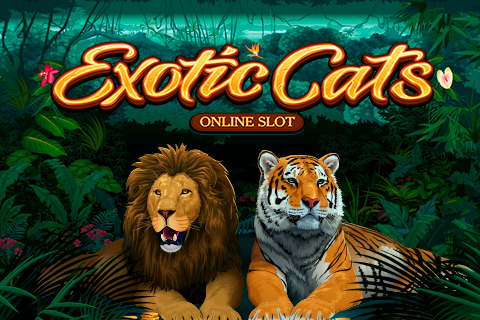 Logo exotic cats microgaming 2 