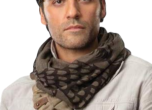 Photo of Poe Dameron Quotes