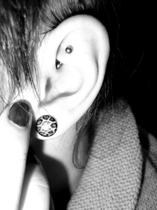 rook piercings (12)