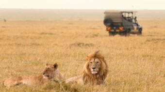 How To Take A Safari On Points And Miles