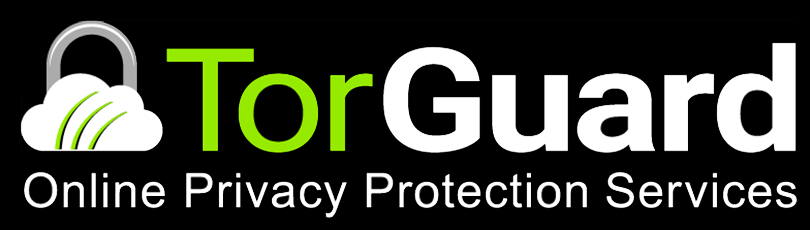 torguard-vpn_w45w