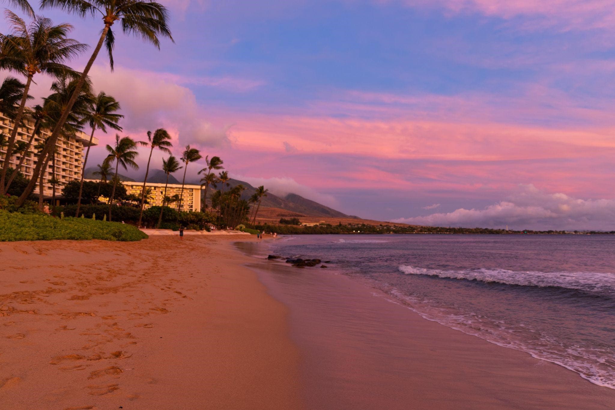 Sunset colors on the beach with palm trees blowing and waves crashing.