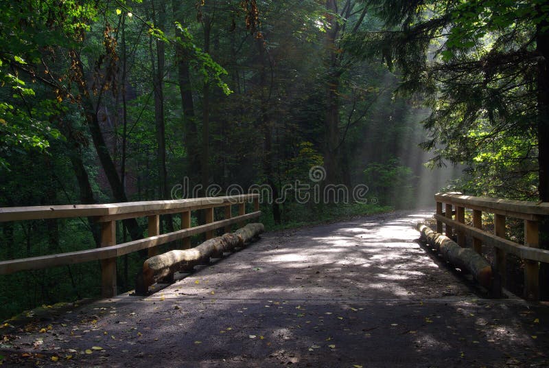 Wet ground bridge 01