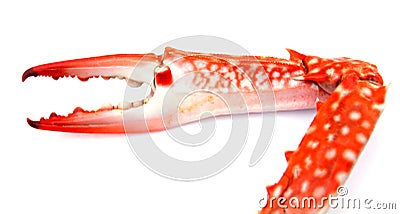 Red Crab Claw Stock Photo