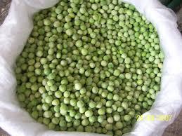 Green Mung Beans