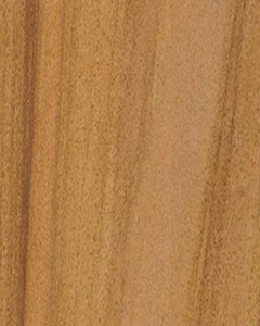 Teakwood Sandstone