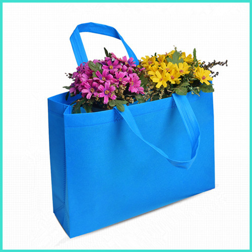 Non-Woven Shopping Bags