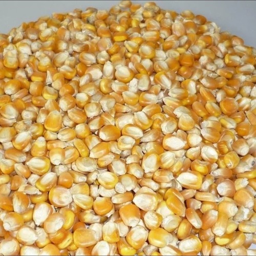 Yellow 100% Natural Corns