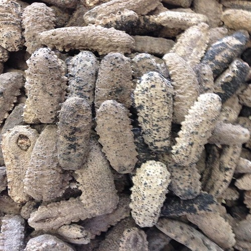 Wild Dried Sea Cucumber