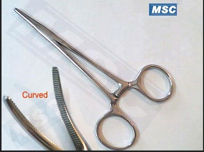 Artery Forceps