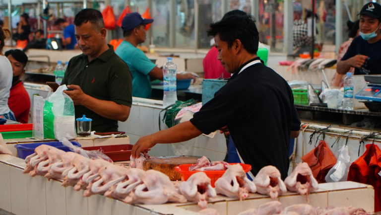 Info harga ayam hari ini, harga ayam kampung hari ini, harga ayam pejantan hari ini, harga daging ayam 1 kg hari ini, harga daging ayam hari ini, harga ayam potong hari ini malang, harga ayam broiler hari ini, harga ayam broiler, harga ayam potong hari ini, tips ungkep ayam, cara mengungkep ayam yang benar, cara ungkep ayam