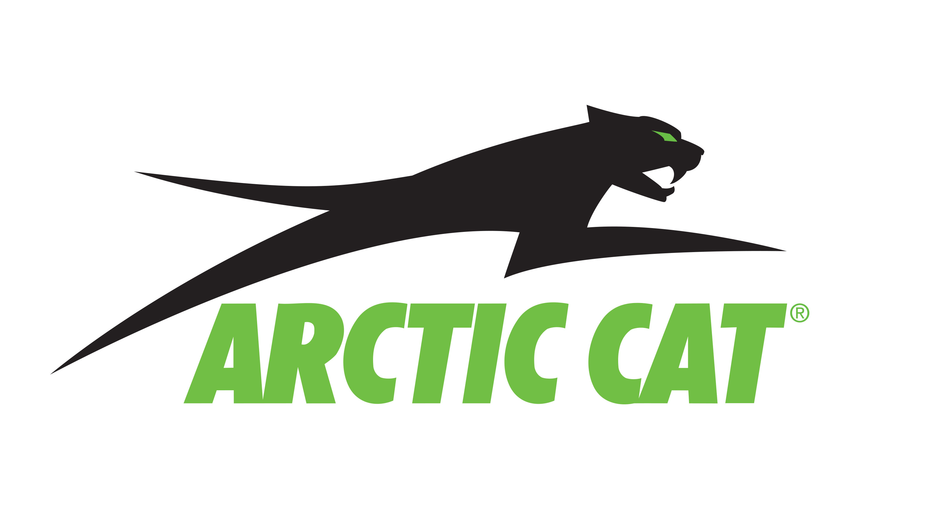 Arctic cat