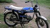 Puch montana