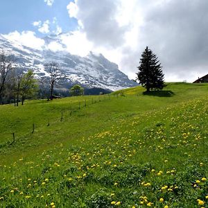 Aspen Alpine Lifestyle Hotel Grindelwald Exterior photo