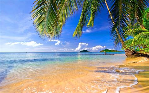 Tropical Beach Wallpapers Top Free Tropical Beach Backgrounds