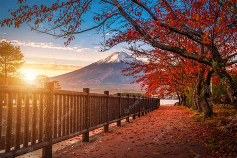 Premium Photo Mt Fuji Over Lake Kawaguchiko With Autumn Foliage At