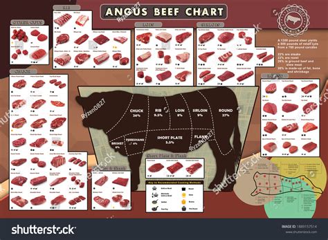 2 384 Beef Cuts Diagram Royalty Free Images Stock Photos Pictures Shutterstock