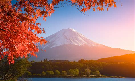 Red Maple Leaves Autumn Fuji Mountain 2k Japan Landscape The