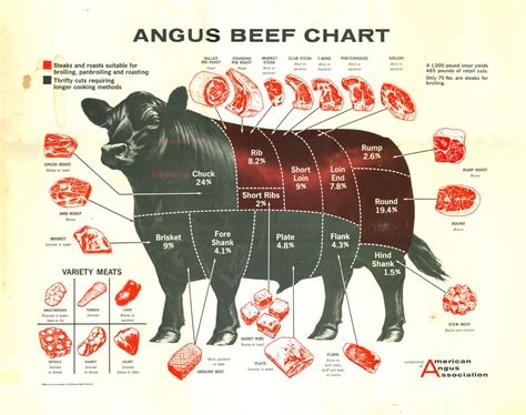 Cuts Of Beef Chart Printable