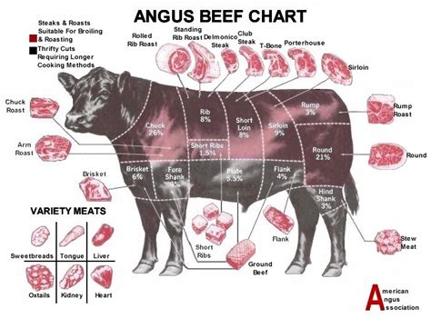 Chart Of Cuts Of Beef