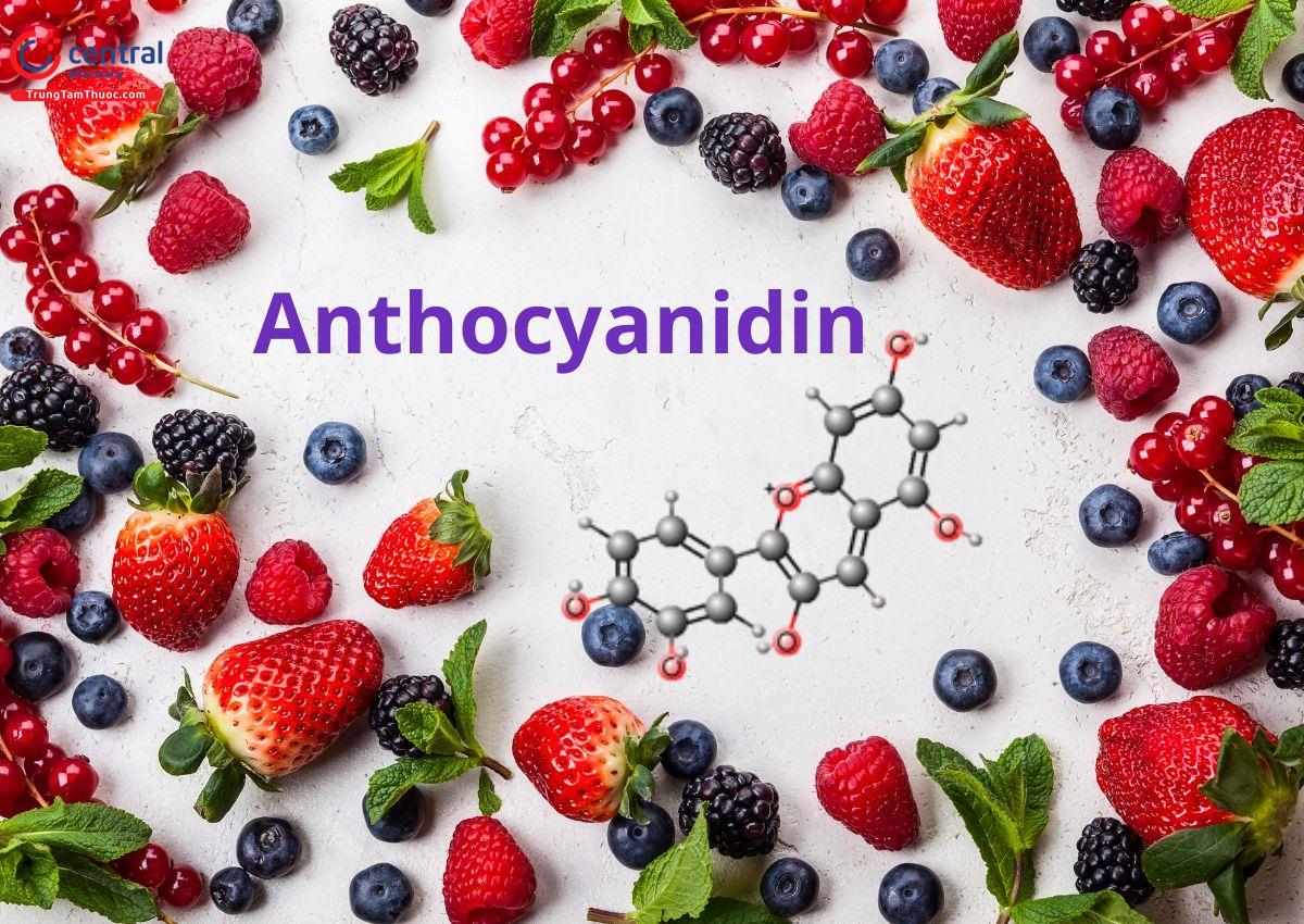 Anthocyanidin