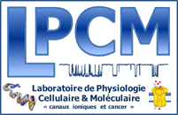 LPCM