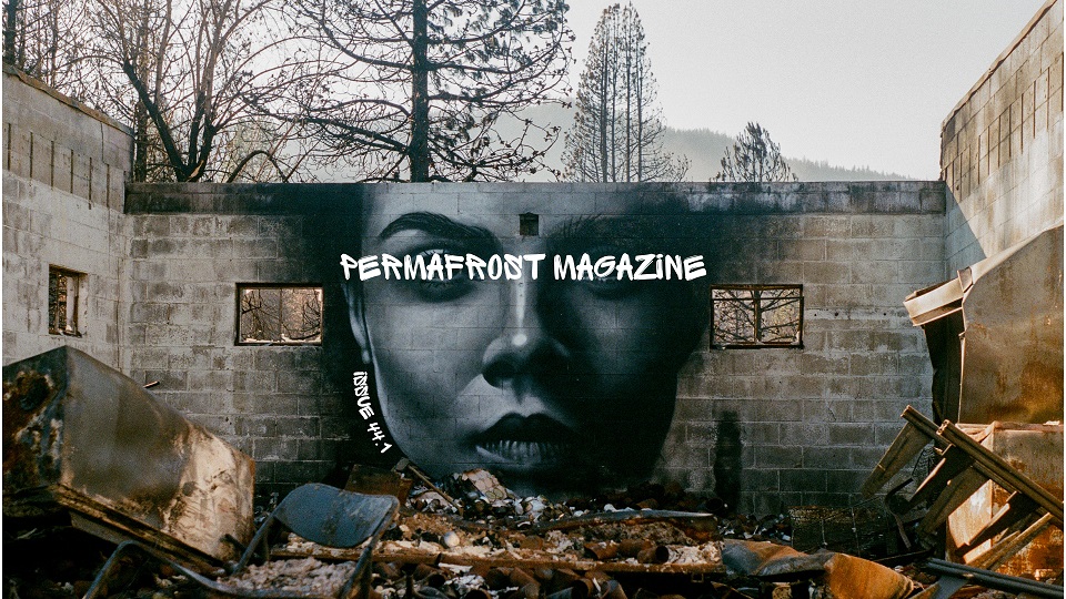 Cover image of Permafrost Magazine Issue 44.1, which features a color photograph by Sage Cruiser of a painted mural by Shane Grammer of the front profile of a woman's face in back and white on a concrete wall background framed by the additional walls and decomposing furniture of a roofless building with trees, a hillside, and sky visible in the background. 