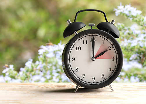 Photo of a black traditional alarm clock on an outdoor table in front of a bush of blooming white flowers with visiting bees in the background.