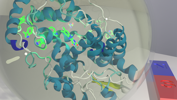 Enlarged view of the protein molecule 