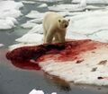 PolarBearDidnot.jpg