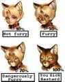 FurryChart.jpg