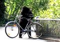 Bear and bicycle.jpg