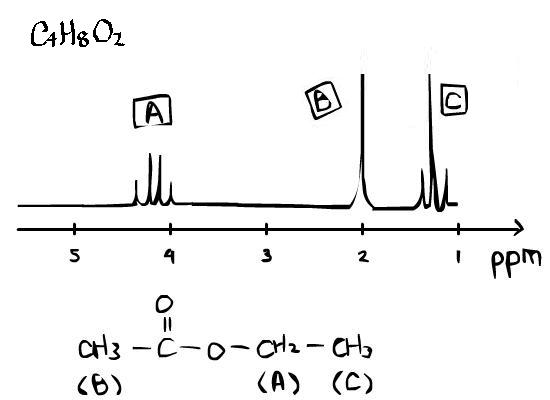 Proton NMR