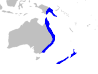 Distribución de Rhipogonaceae