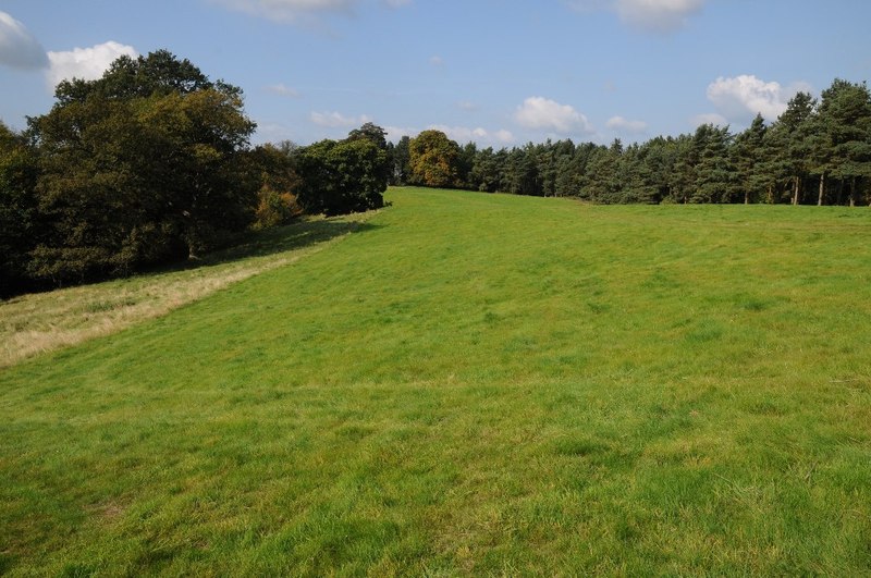 File:Parkland in Hagley Park - geograph.org.uk - 4185264.jpg