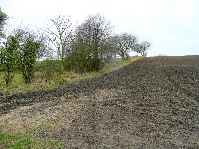 File:Arable land on Hodge Hill - geograph.org.uk - 1770804.jpg