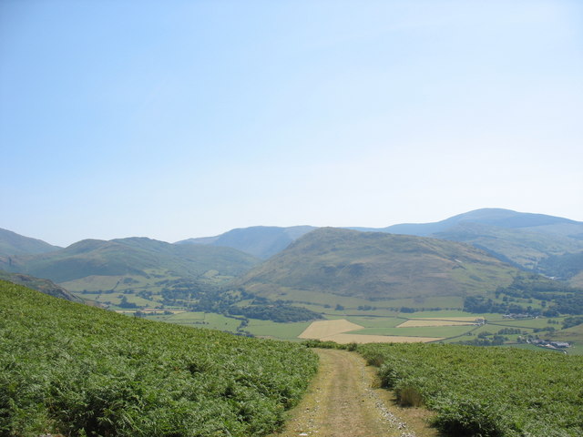 File:Bracken Infestation on Mynydd Pen-Rhiw - geograph.org.uk - 219759.jpg