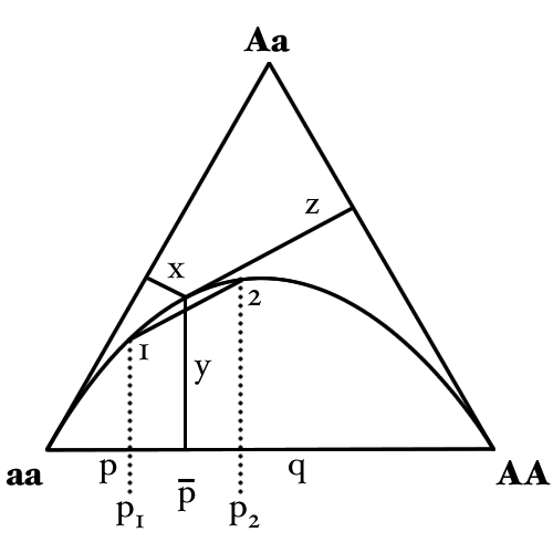 Diagrama de Finetti