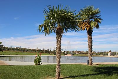 Vista del llac del Parc d'Europa