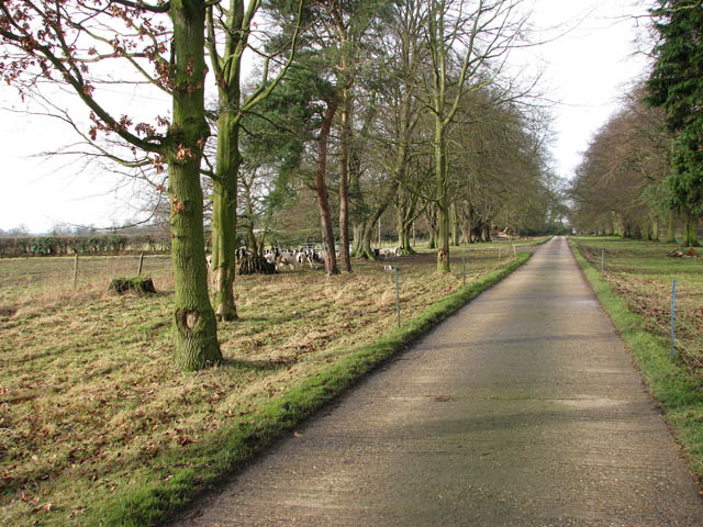 File:Approaching Moor Hall Farm - geograph.org.uk - 1132831.jpg