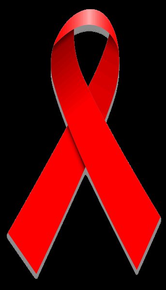 File:0000031 343px-World Aids Day Ribbon.jpg