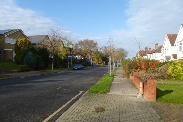 File:Along Ravensbourne Avenue - geograph.org.uk - 4264063.jpg